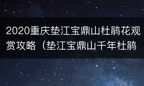 2020重庆垫江宝鼎山杜鹃花观赏攻略（垫江宝鼎山千年杜鹃）