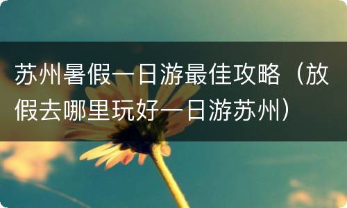 苏州暑假一日游最佳攻略（放假去哪里玩好一日游苏州）
