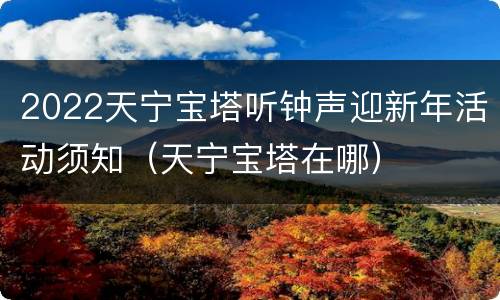 2022天宁宝塔听钟声迎新年活动须知（天宁宝塔在哪）