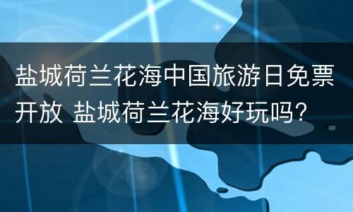 盐城荷兰花海中国旅游日免票开放 盐城荷兰花海好玩吗?