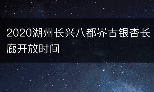 2020湖州长兴八都岕古银杏长廊开放时间