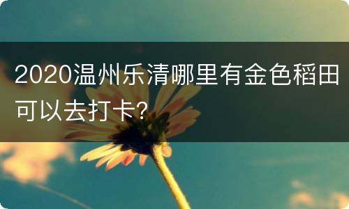 2020温州乐清哪里有金色稻田可以去打卡？