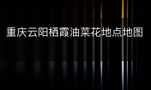 重庆云阳栖霞油菜花地点地图