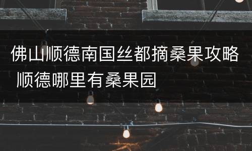 佛山顺德南国丝都摘桑果攻略 顺德哪里有桑果园