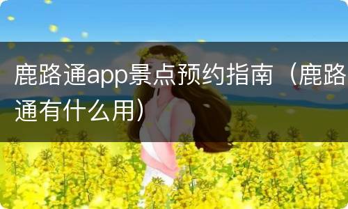 鹿路通app景点预约指南（鹿路通有什么用）