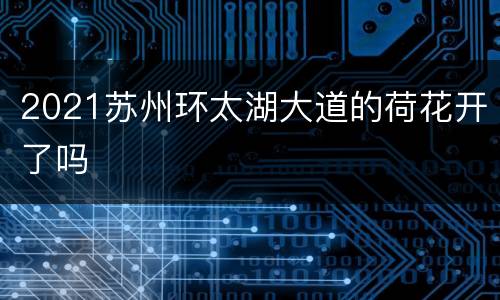 2021苏州环太湖大道的荷花开了吗