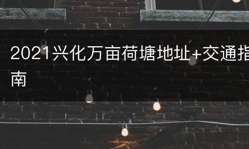 2021兴化万亩荷塘地址+交通指南