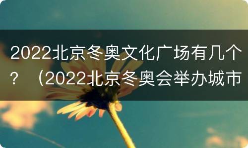 2022北京冬奥文化广场有几个？（2022北京冬奥会举办城市有哪些）