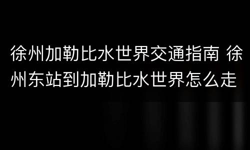 徐州加勒比水世界交通指南 徐州东站到加勒比水世界怎么走