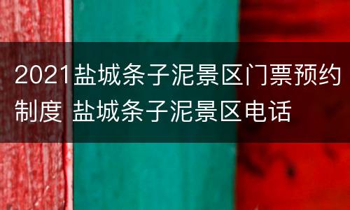 2021盐城条子泥景区门票预约制度 盐城条子泥景区电话