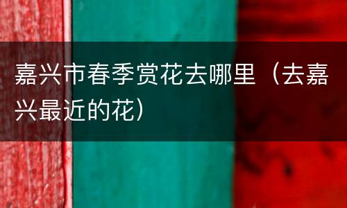 嘉兴市春季赏花去哪里（去嘉兴最近的花）
