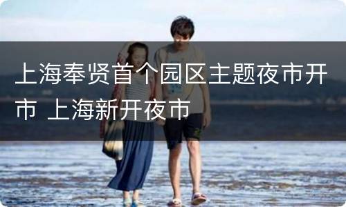 上海奉贤首个园区主题夜市开市 上海新开夜市
