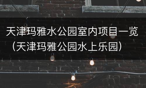 天津玛雅水公园室内项目一览（天津玛雅公园水上乐园）