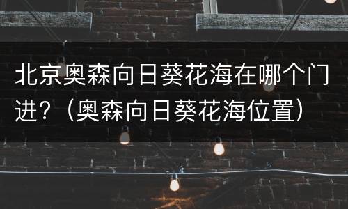 北京奥森向日葵花海在哪个门进?（奥森向日葵花海位置）