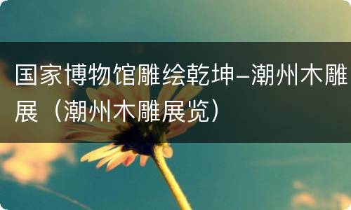 国家博物馆雕绘乾坤-潮州木雕展（潮州木雕展览）