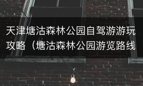 天津塘沽森林公园自驾游游玩攻略（塘沽森林公园游览路线图）
