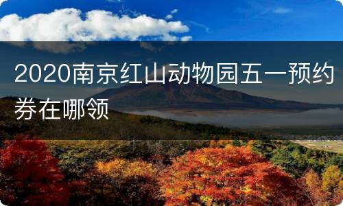 2020南京红山动物园五一预约券在哪领