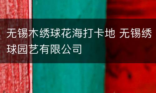 无锡木绣球花海打卡地 无锡绣球园艺有限公司