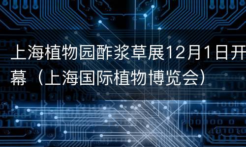 上海植物园酢浆草展12月1日开幕（上海国际植物博览会）