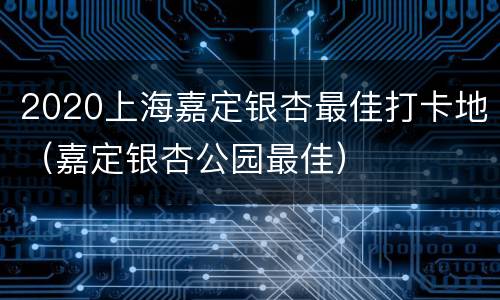 2020上海嘉定银杏最佳打卡地（嘉定银杏公园最佳）