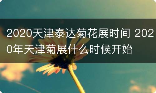 2020天津泰达菊花展时间 2020年天津菊展什么时候开始