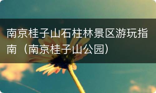 南京桂子山石柱林景区游玩指南（南京桂子山公园）