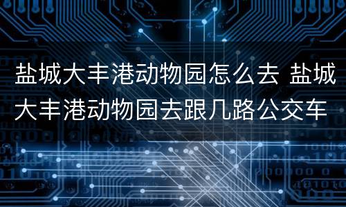 盐城大丰港动物园怎么去 盐城大丰港动物园去跟几路公交车