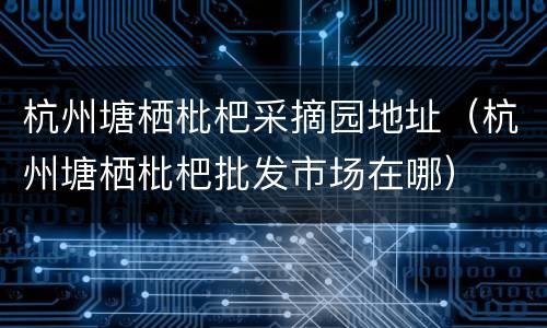 杭州塘栖枇杷采摘园地址（杭州塘栖枇杷批发市场在哪）