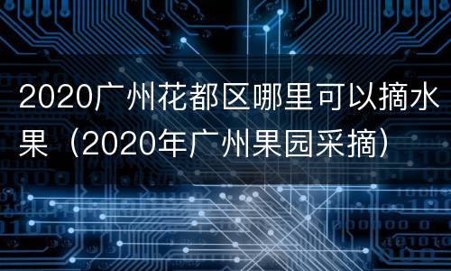 2020广州花都区哪里可以摘水果（2020年广州果园采摘）