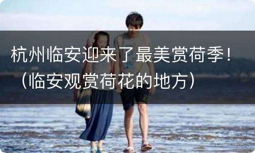 杭州临安迎来了最美赏荷季！（临安观赏荷花的地方）
