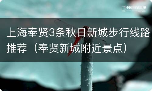 上海奉贤3条秋日新城步行线路推荐（奉贤新城附近景点）