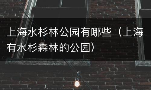 上海水杉林公园有哪些（上海有水杉森林的公园）