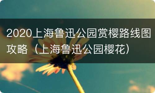 2020上海鲁迅公园赏樱路线图攻略（上海鲁迅公园樱花）