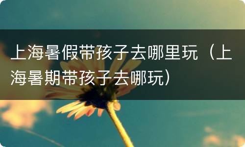 上海暑假带孩子去哪里玩（上海暑期带孩子去哪玩）