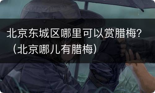北京东城区哪里可以赏腊梅？（北京哪儿有腊梅）