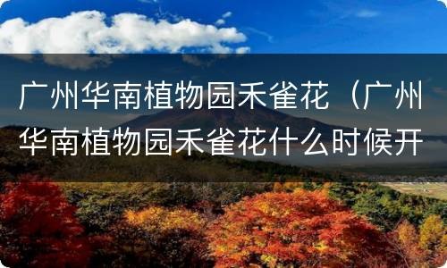 广州华南植物园禾雀花（广州华南植物园禾雀花什么时候开2022）