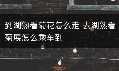 到湖熟看菊花怎么走 去湖熟看菊展怎么乘车到