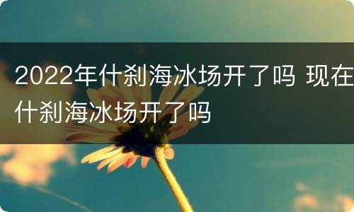 2022年什刹海冰场开了吗 现在什刹海冰场开了吗