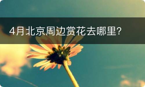  4月北京周边赏花去哪里？