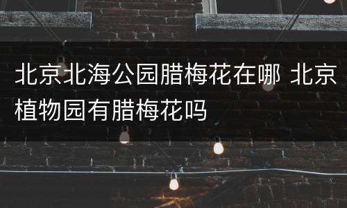北京北海公园腊梅花在哪 北京植物园有腊梅花吗