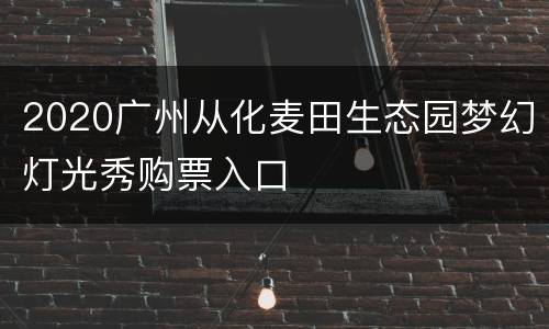 2020广州从化麦田生态园梦幻灯光秀购票入口