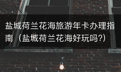 盐城荷兰花海旅游年卡办理指南（盐城荷兰花海好玩吗?）