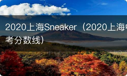 2020上海Sneaker（2020上海中考分数线）