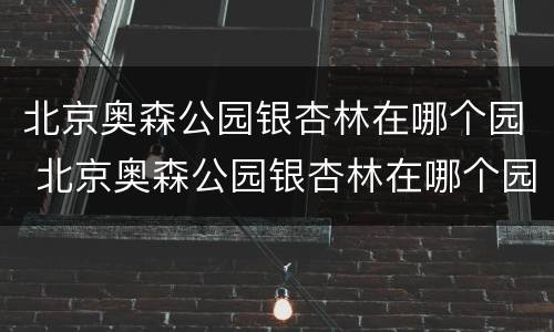 北京奥森公园银杏林在哪个园 北京奥森公园银杏林在哪个园区