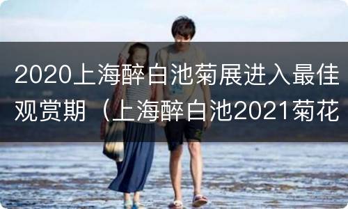 2020上海醉白池菊展进入最佳观赏期（上海醉白池2021菊花展）