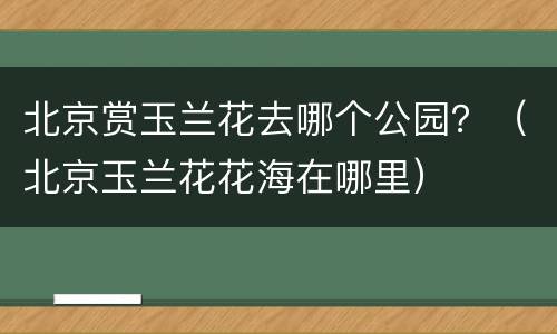 北京赏玉兰花去哪个公园？（北京玉兰花花海在哪里）