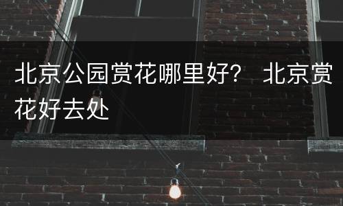 北京公园赏花哪里好？ 北京赏花好去处