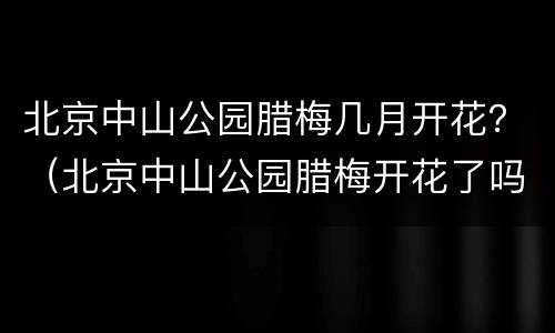 北京中山公园腊梅几月开花？（北京中山公园腊梅开花了吗）