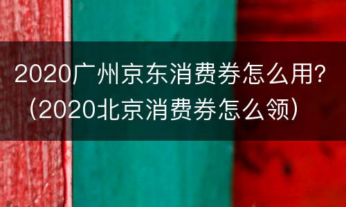 2020广州京东消费券怎么用？（2020北京消费券怎么领）