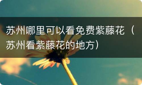 苏州哪里可以看免费紫藤花（苏州看紫藤花的地方）